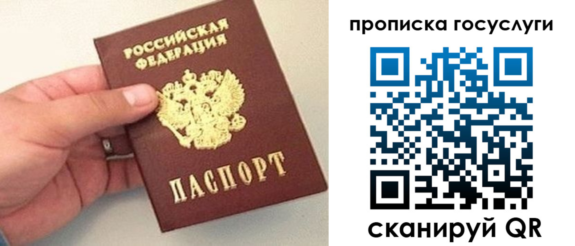 где прописаться в Кашире